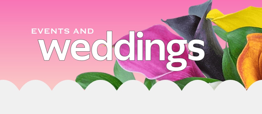 Events and Weddings banner linking to Wedding Gallery page